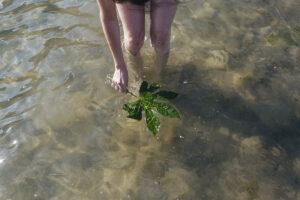 Voluntariado ambiental: guía para actuar en ríos